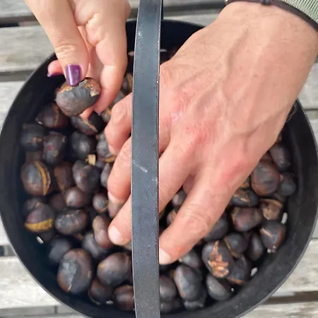 D'hote Bergerie A Maredda 招待所 5*