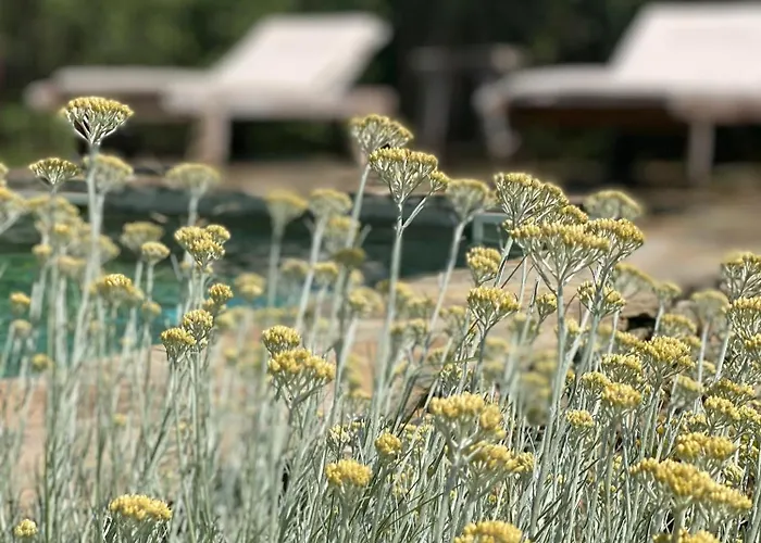 D'hote Bergerie A Maredda Murato