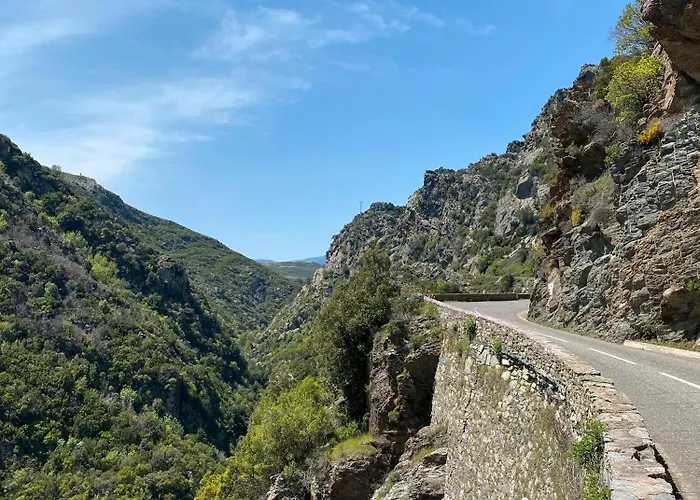 招待所 D'hote Bergerie A Maredda