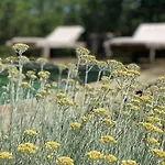 D'hote Bergerie A Maredda Guest house 5*