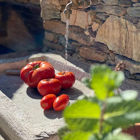 D'hote Bergerie A Maredda 5* Murato