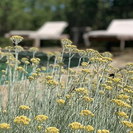 D'hote Bergerie A Maredda Murato