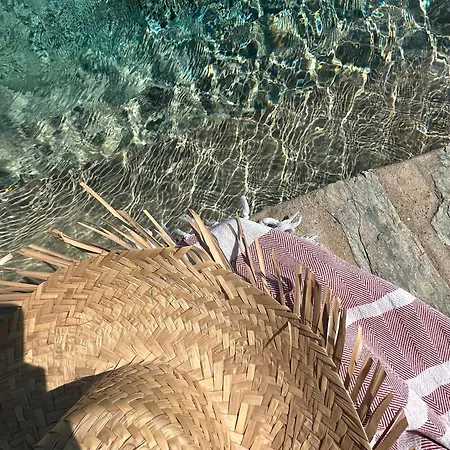 Guest house D'hote Bergerie A Maredda Murato