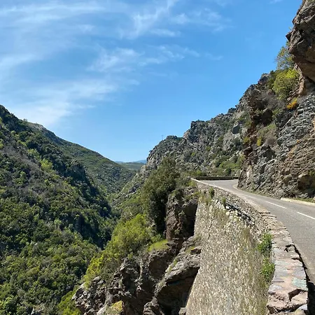 Guest house D'hote Bergerie A Maredda