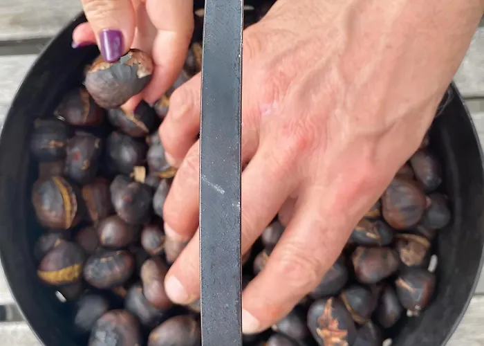 D'hote Bergerie A Maredda Penzion 5*