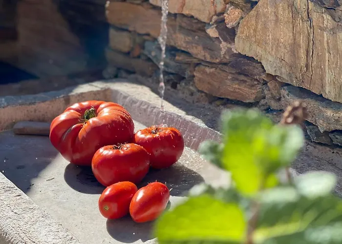 D'hote Bergerie A Maredda 5* Murato